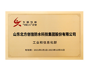 国度第一批沉点专精特新幼巨人企业